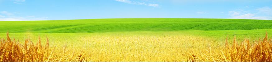 1464223916966858.jpg 1.jpg